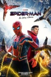 Spider-Man No Way Home missing on Disney +? Here are the reasons. - Diraxe