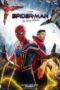 Spider-Man No Way Home missing on Disney +? Here are the reasons. - Diraxe