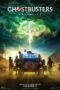 Ghostbusters: Afterlife (2021) - IMDb
