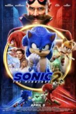 Sonic the Hedgehog 2 2022 Sonic the Hedgehog 2 (2022) - IMDb