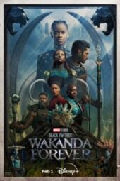 Black Panther: Wakanda Forever (2022) - IMDb