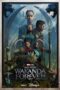 Black Panther: Wakanda Forever (2022) - IMDb